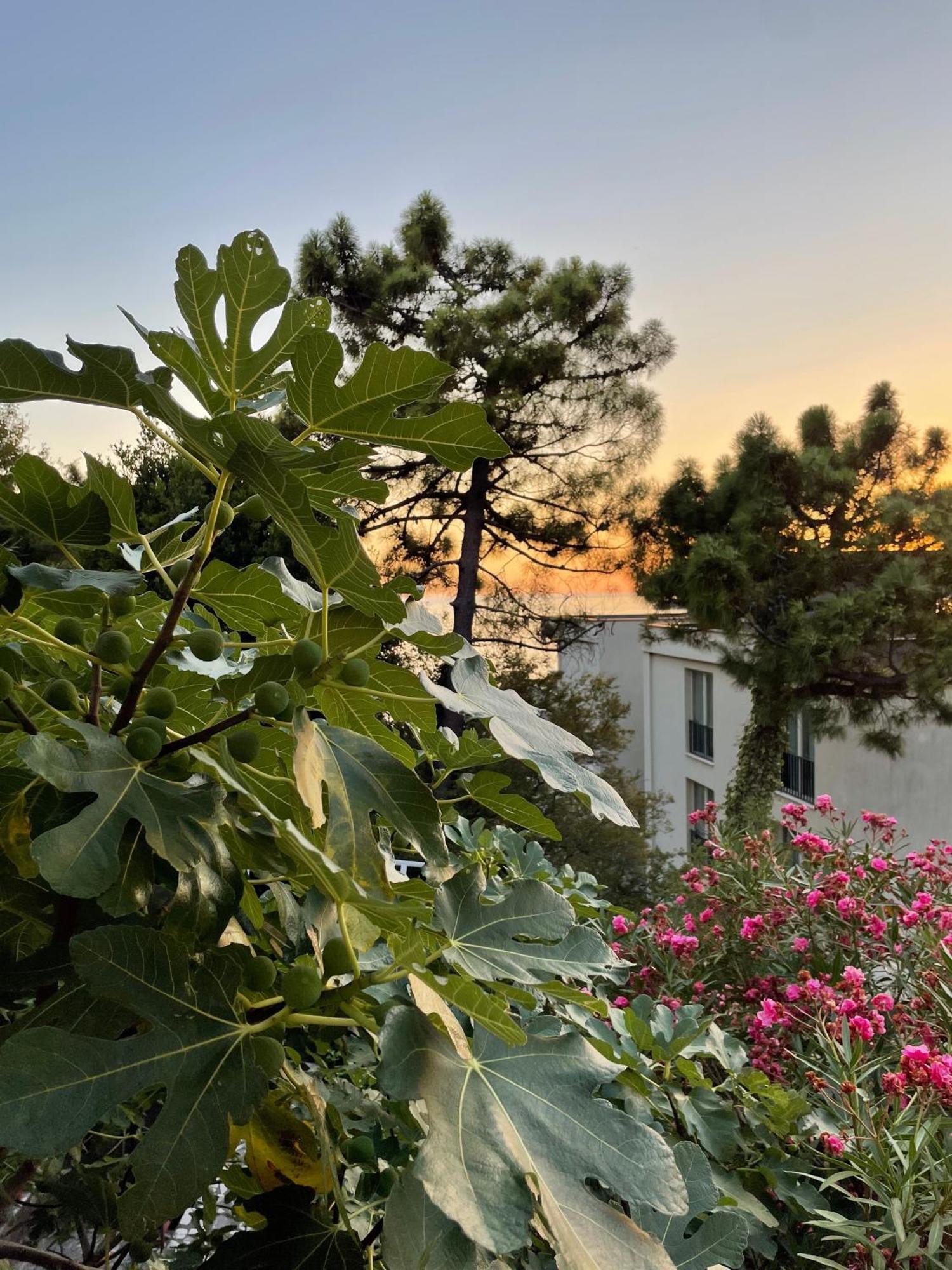 Apartments Sana Sveti Stefan Esterno foto